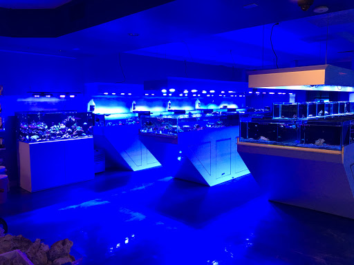 Aquarium «Aquatic Jewels», reviews and photos, 2141 Stirling Rd, Fort Lauderdale, FL 33312, USA