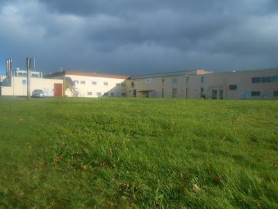 Celtys à Plouay