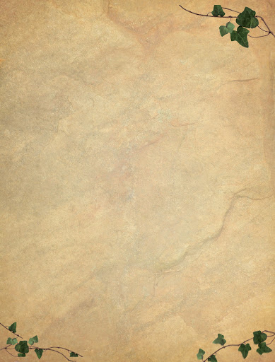 Winery «Canterbury Hill Winery and Restaurant», reviews and photos, 1707 S Summit Dr, Holts Summit, MO 65043, USA