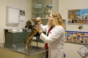 VCA Los Altos Animal Hospital image