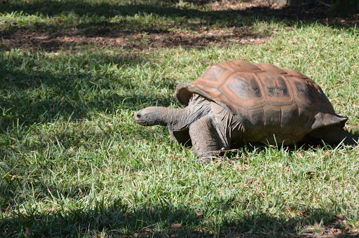 Zoo «Fort Worth Zoo», reviews and photos, 1989 Colonial Pkwy, Fort Worth, TX 76110, USA