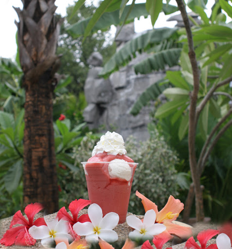 Ice Cream Shop «The Island Muncie», reviews and photos, 400 W McGalliard Rd, Muncie, IN 47303, USA