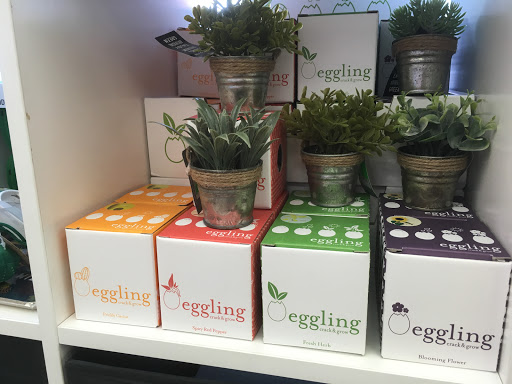 Book Store «Kinokuniya Los Angeles», reviews and photos, 123 Astronaut E S Onizuka St #205, Los Angeles, CA 90012, USA