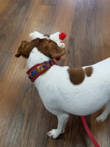 Pet Supply Store «Pet Valu», reviews and photos, 141 Bridgeton Pike, Mullica Hill, NJ 08062, USA