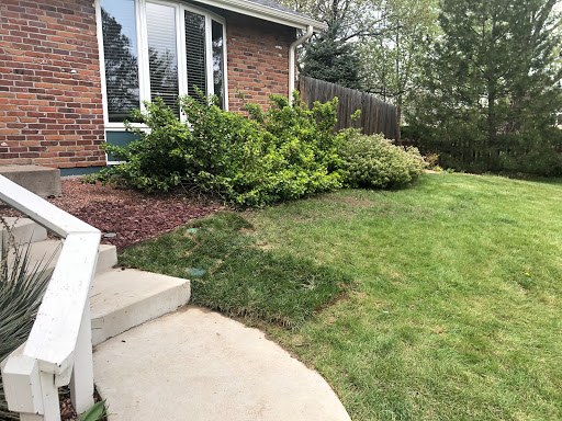 Plumber «APEX Plumbing Co.», reviews and photos, 12275 W 48th Ave, Wheat Ridge, CO 80033, USA