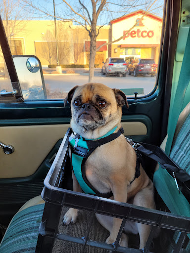 Pet Supply Store «Petco Animal Supplies», reviews and photos, 2210 N Eagle Rd, Meridian, ID 83646, USA