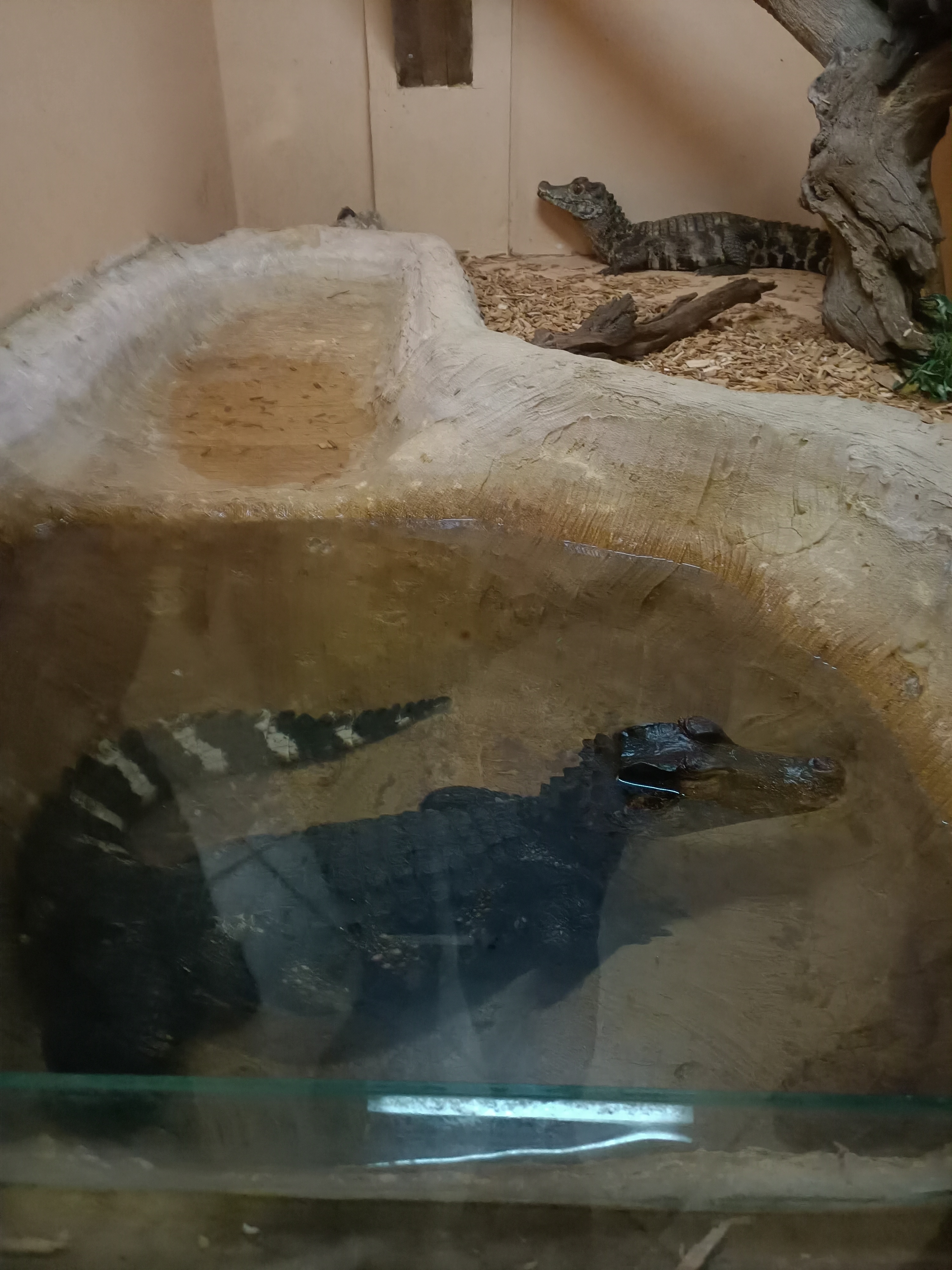 Photo n° 21 de l'avis de Dufau.a fait le 21/02/2024 à 14:51