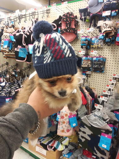 Pet Supply Store «Pet Supplies Plus», reviews and photos, 1663 Mineral Spring Ave, North Providence, RI 02904, USA