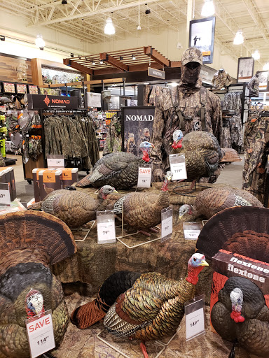 Outdoor Sports Store «Field & Stream», reviews and photos, 2075 Interchange Rd, Erie, PA 16509, USA