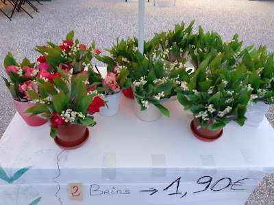 Le vigean à Eysines