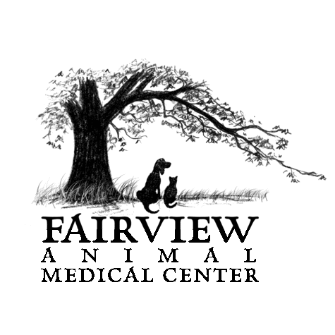 Fairview Animal Medical Center