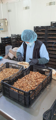 Нейчъръл Чойс ЕООД - Куриерска услуга