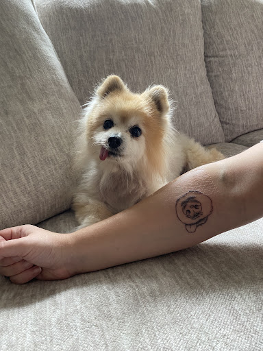 Explore tattoo ideas for women drawings, creative tattoo ideas in Minneapolis, available at Red Lotus Tattoo