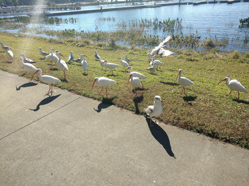 Park «Gilbert Park», reviews and photos, 310 S Tremain St, Mt Dora, FL 32757, USA