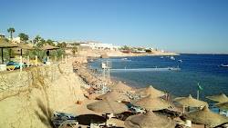 Zdjęcie Shark Bay beach z poziomem czystości wysoki