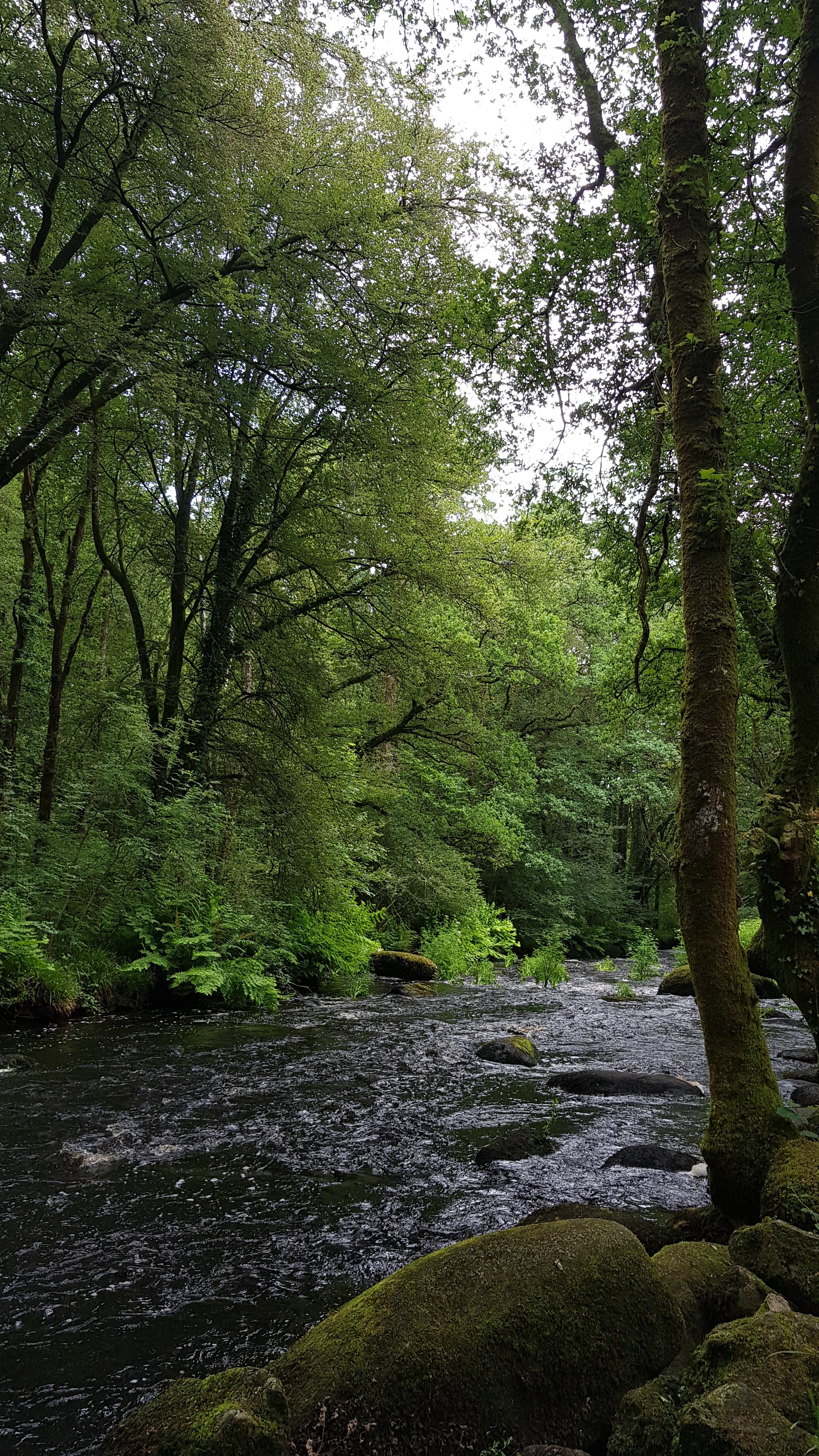 Photo n° 6 de l'avis de helene.a fait le 18/06/2018 à 17:11