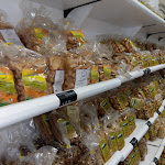 Photo n°1 de l'avis de Alessandro.A fait le 16/07/2019 à 09:44 sur le  Forno Causio à Cannole