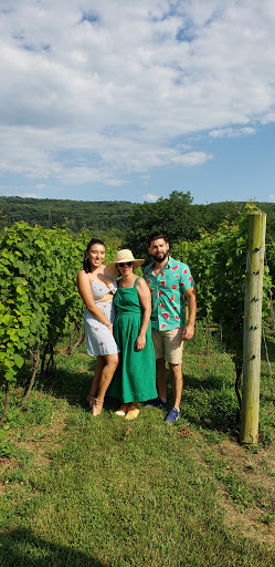 Winery «Alba Vineyard», reviews and photos, 269 Riegelsville Warren Glen Rd, Milford, NJ 08848, USA
