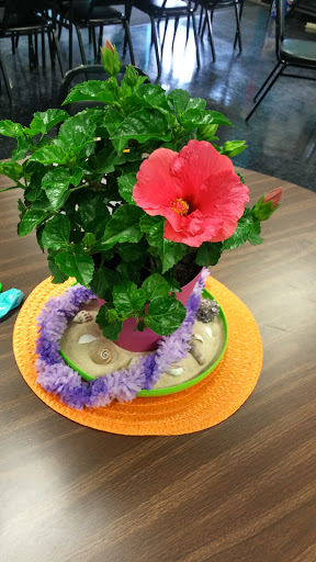 American Restaurant «Cracker Barrel Old Country Store», reviews and photos, 1860 Winderly Ln, Pickerington, OH 43147, USA