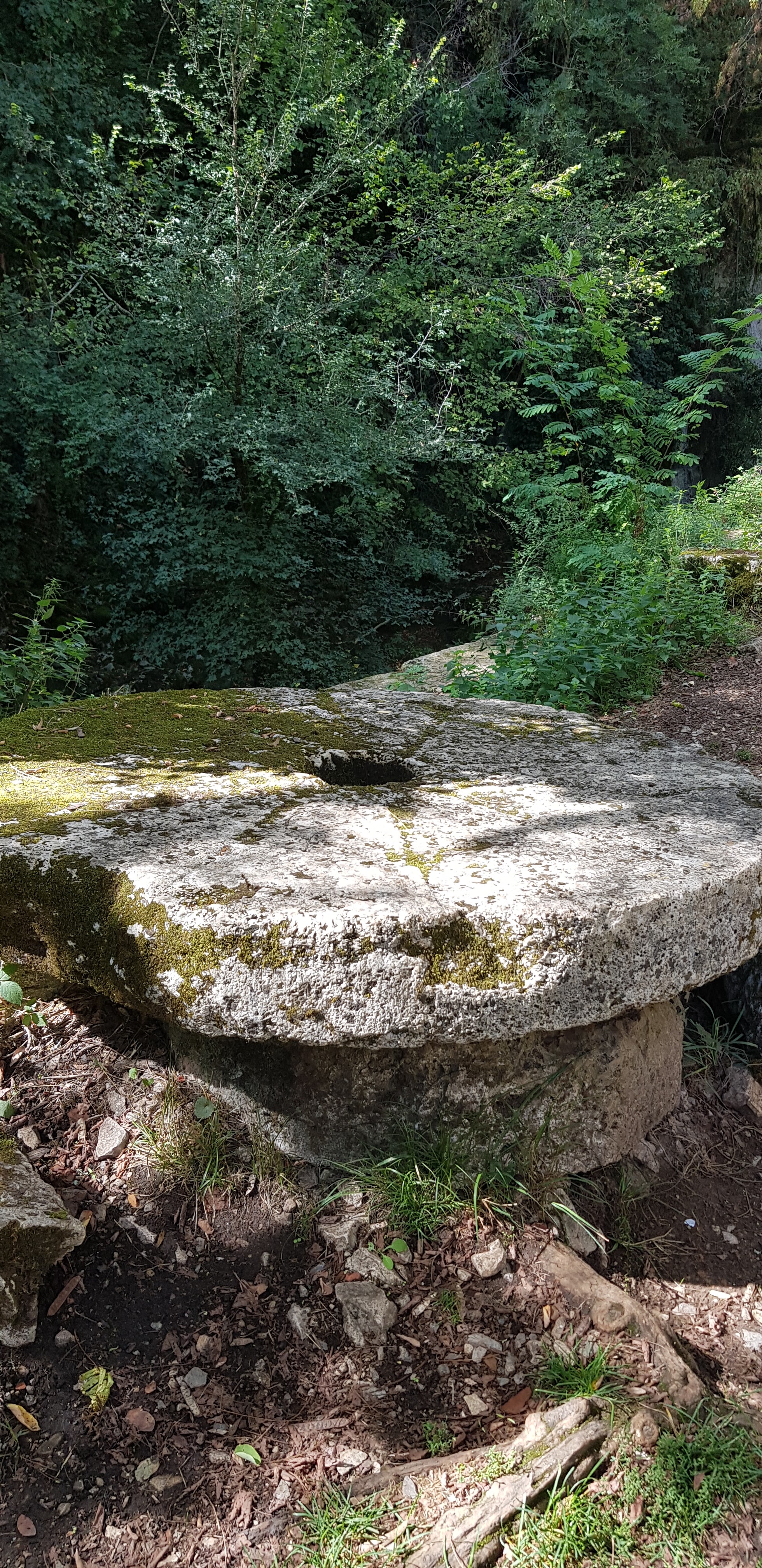 Photo n° 7 de l'avis de jean-marc.e fait le 13/10/2023 à 12:03