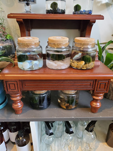 Florist «Flora», reviews and photos, 428 Haywood Rd B, Asheville, NC 28806, USA