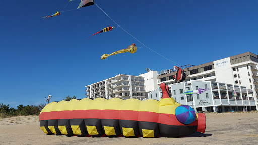 Toy Store «Rehoboth Toy & Kite Company», reviews and photos, 1 Virginia Ave, Rehoboth Beach, DE 19971, USA