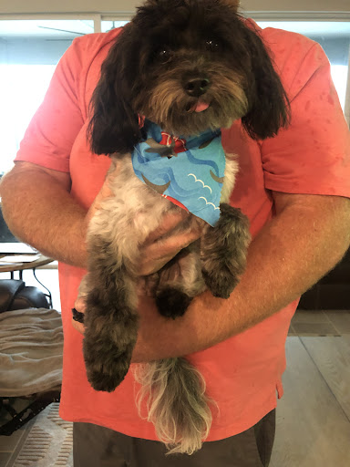 Pet Store «DipidyDawg Gourmet Dog Bakery & Boutique», reviews and photos, 21301 S Tamiami Trail Suite 430, Estero, FL 33928, USA