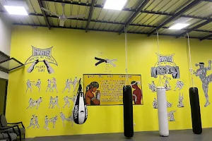Mantis Martial Arts Center image