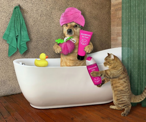 Pet Supply Store «Southern Agriculture», reviews and photos, 6501 E 71st St, Tulsa, OK 74133, USA