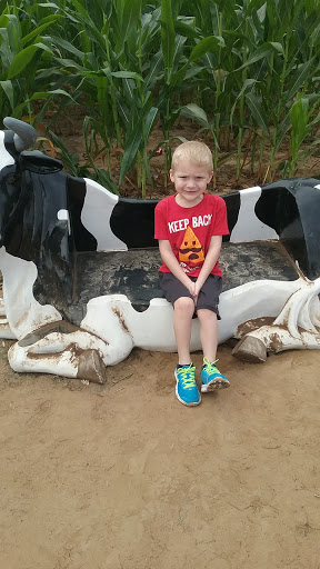 Tourist Attraction «Cajun Country Corn», reviews and photos, 40833 LA-16, Amite City, LA 70422, USA