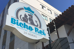 Bicho Rei Hospital Veterinário e Clínica Veterinária 24 horas image