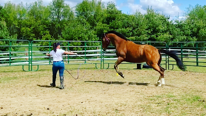 Ashley Horse Training