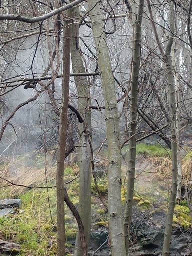 American Restaurant «Cracker Barrel Old Country Store», reviews and photos, 2525 Brindle Dr, Harrisburg, PA 17110, USA