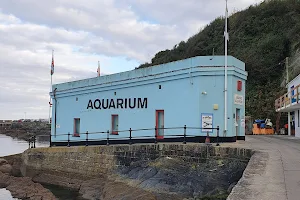 Mevagissey Aquarium image