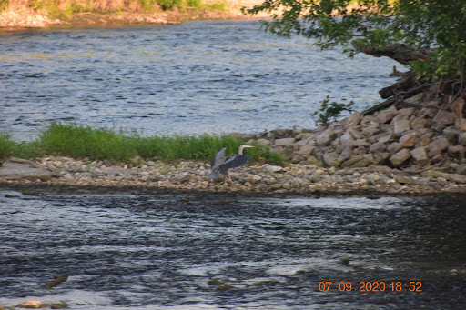 Nature Preserve «Lockport Prairie Nature Preserve», reviews and photos, Broadway St, Lockport, IL 60441, USA