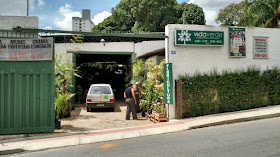 Vida Verde Floricultura e Paisagismo.