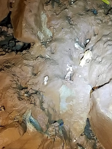 Tourist Attraction «Indiana Caverns», reviews and photos, 1267 Green Acres Dr SW, Corydon, IN 47112, USA