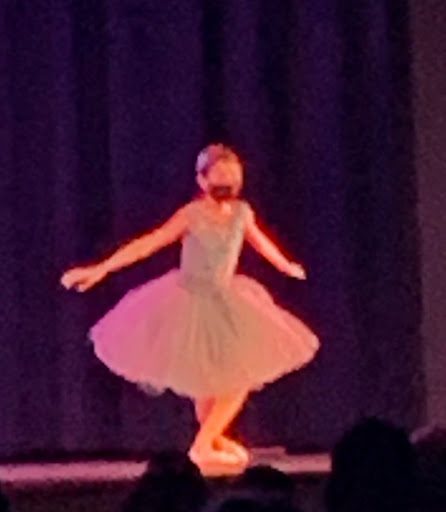 Performing Arts Theater «Clermont Performing Arts Center Performance Hall», reviews and photos, 3700 S Hwy 27, Clermont, FL 34711, USA