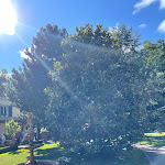 Photo n°3 de l'avis de Torsten.o fait le 15/08/2021 à 06:59 sur le  Restaurant Stadtwaldvinum à Euskirchen