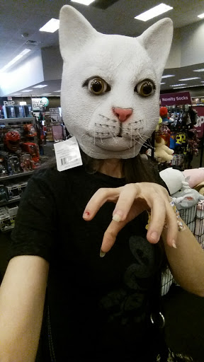 Book Store «Books-A-Million», reviews and photos, 6235 N Davis Hwy, Pensacola, FL 32504, USA