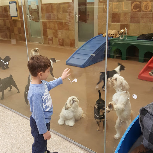 Pet Supply Store «PetSmart», reviews and photos, 114 Commerce Way, Woburn, MA 01801, USA