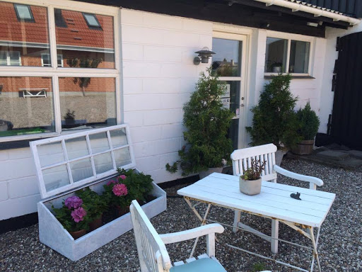 Nykøbing Sj Kattepension v/Mette Weber Marcussen in Nykøbing Sjælland, Odsherred