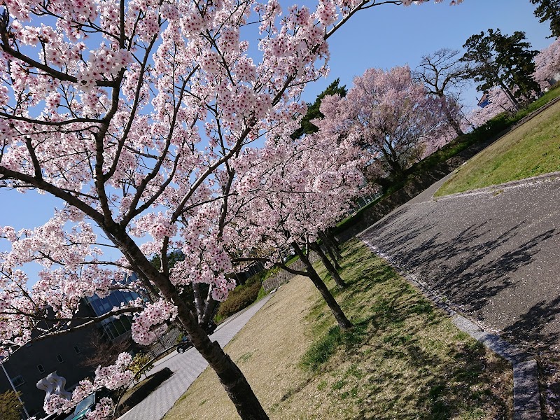 鶴岡市市民プール