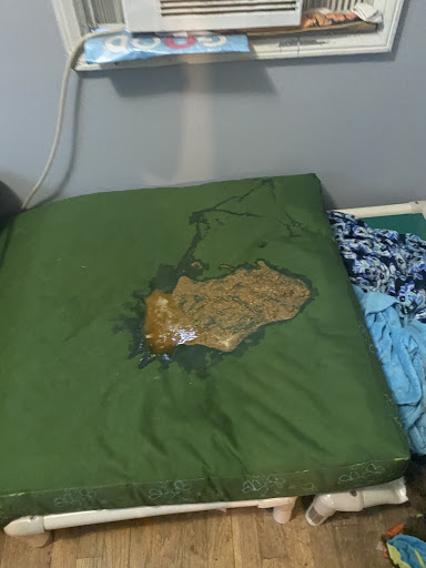 Pet Supply Store «Pet Needs Etc», reviews and photos, 5664 N Telegraph Rd, Dearborn Heights, MI 48127, USA