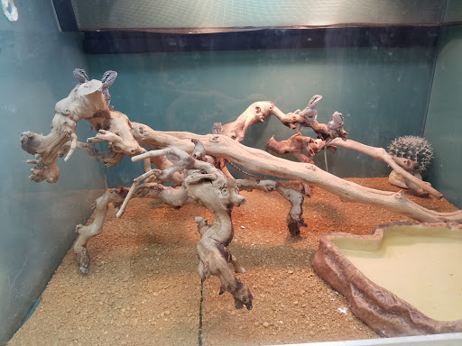 Pet Supply Store «Premier Pet Supply», reviews and photos, 15399 Merriman Rd, Livonia, MI 48154, USA