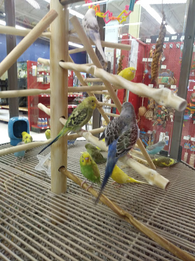 Pet Supply Store «Petco Animal Supplies», reviews and photos, 187 Stonebrook Pl, Jackson, TN 38305, USA