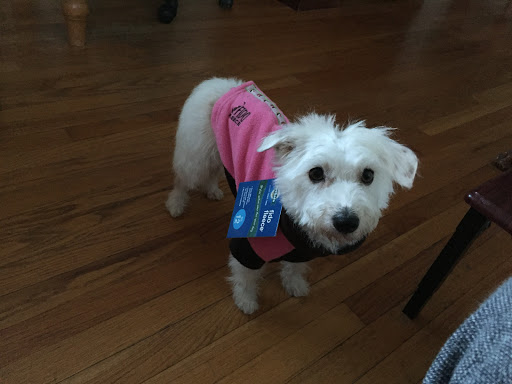 Pet Supply Store «Petport Pet Supply and Grooming Salon», reviews and photos, 40 Main St, Northport, NY 11768, USA