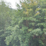 Photo n°6 de l'avis de Peter.o fait le 22/09/2017 à 04:23 sur le  Kurpark Flair Hotel Im Ilsetal à Ilsenburg