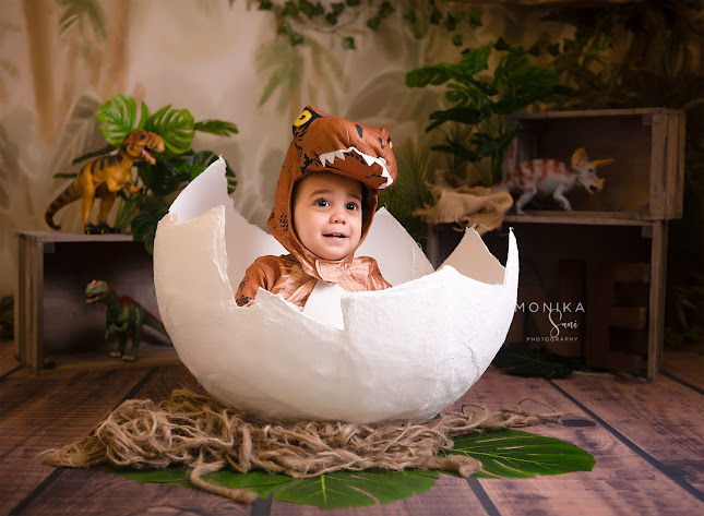 Comments and reviews of Monika Sani Photography Newborn and Wedding Photographer