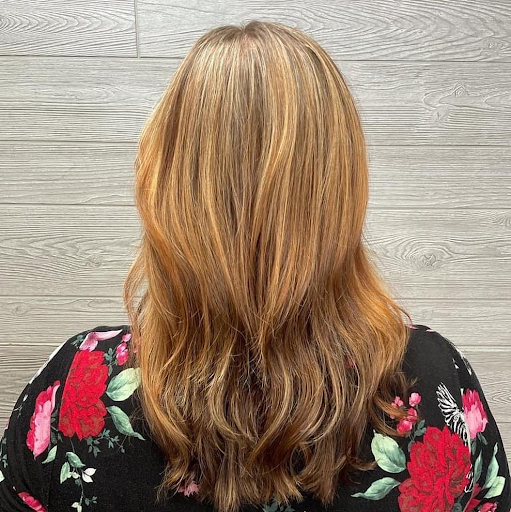 Beauty Salon «Tortoise & the Hair Salon», reviews and photos, 6681 Rochester Rd, Troy, MI 48085, USA